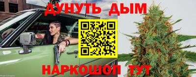 эйфоретик Малгобек