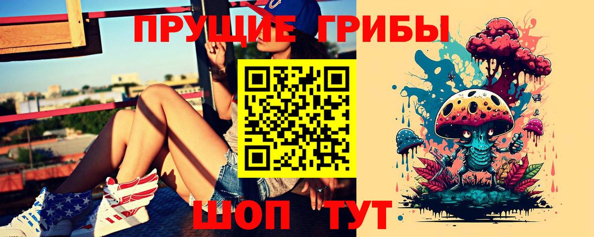 Псилоцибиновые грибы Psilocybe Южноуральск